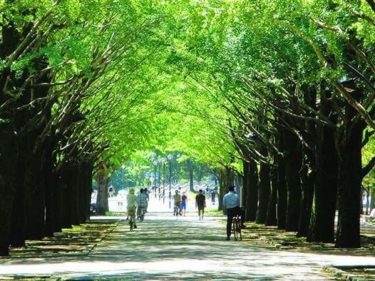 コロナウイルスの影響で店舗休業したブランド一覧 ルイ ヴィトンやナイキなど ネリマーケ